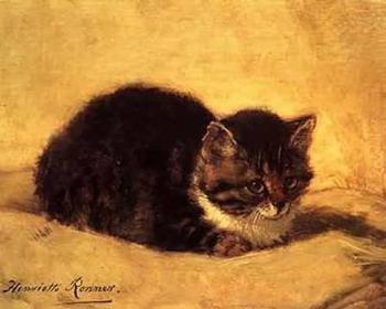Henriette Ronner : Cat